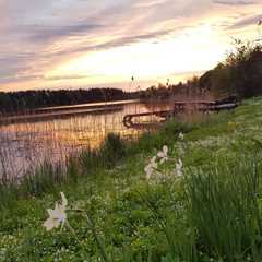 Гостевой дом Домик у озера, Валдай, Новгородская область