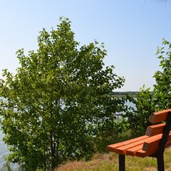 База отдыха ЭкоОстров, Орловская область