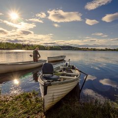 База отдыха Донская весна, Городищенский район, Волгоградская область