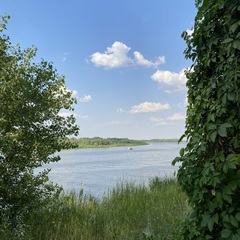 База отдыха Донская весна, Городищенский район, Волгоградская область