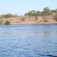 Охотничье-рыболовная база Ивушка, Ульяновская область