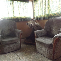 Охотничье-рыболовная база Ивушка, Ульяновская область