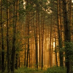 Турбаза Солнечный берег, Михайловка, Саратовская область