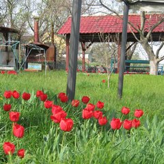 База отдыха Теремок, Таганрог, Ростовская область