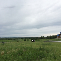 База отдыха Студениха, Архангельская область
