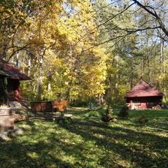 База отдыха Домик в лесу, Возрождение, Пензенская область