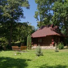 База отдыха Домик в лесу, Возрождение, Пензенская область