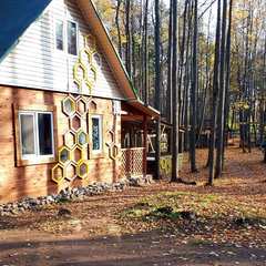 База отдыха Золотой фазан, Сосновый Бор, Республика Башкортостан