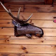 База отдыха Золотой фазан, Сосновый Бор, Республика Башкортостан