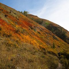 База отдыха Тюнгур , Усть-Коксинский район, Республика Алтай