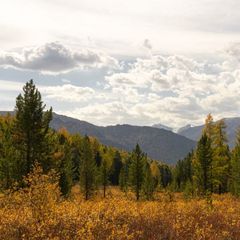 База отдыха Тюнгур , Усть-Коксинский район, Республика Алтай
