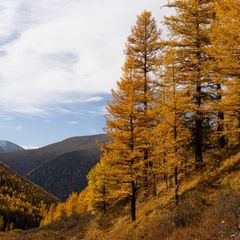 База отдыха Тюнгур , Усть-Коксинский район, Республика Алтай