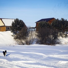 Гостевой дом Хуторок , Новосибирская область