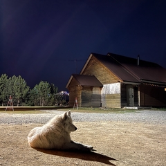 Гостевой дом Хуторок , Новосибирская область