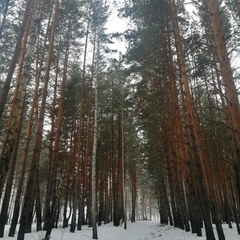 Гостевой дом Вознесенский, Челябинск, Челябинская область