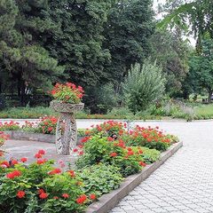 Санаторий им. Н.Н. Бурденко, Саки, Крым