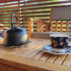 Коттедж "Онегин" для семейного отдыха, Кижи, Республика Карелия