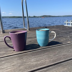 Коттедж "Онегин" для семейного отдыха, Кижи, Республика Карелия