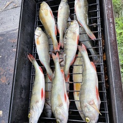 Коттедж "Онегин" для семейного отдыха, Кижи, Республика Карелия