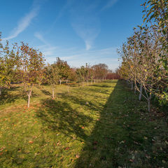 База отдыха и рыбалки Царские хоромы, Поселок Веселый, Ростовская область