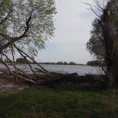 Рыболовная база River Village, Астрахань, Астраханская область