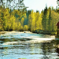 Гостевой дом Мраморная гора, Сортавала, Республика Карелия, Республика Карелия