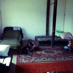 Рыболовная база Nordseaman (Мыс Выевнаволок), Мурманская область