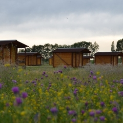 База отдыха Радуга, Тамбовский район, Алтайский край