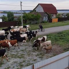 База отдыха Медвежий угол, Новое Ильинское, Курганская область