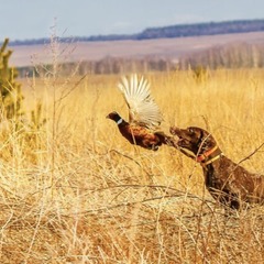 База отдыха и рыбалки  Relax, Харабалинский район, Астраханская область