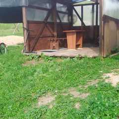 Гостевой дом У Белого озера, Курьинский район, Алтайский край