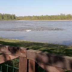 База отдыха Три клена, Алтайский район, Алтайский край