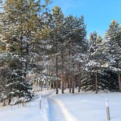 Эко-отель Harland Village, Республика Карелия