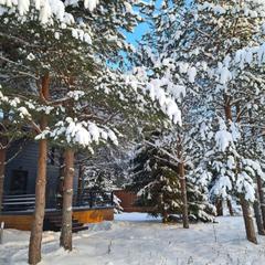 Эко-отель Harland Village, Республика Карелия