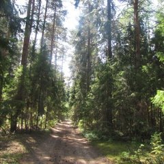 База отдыха Красные крыши, Пошехонье, Ярославская область