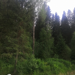 Гостиница Гостевой дворик, Сортавала, Республика Карелия, Республика Карелия