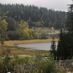 Гостиница Гостевой дворик, Сортавала, Республика Карелия, Республика Карелия