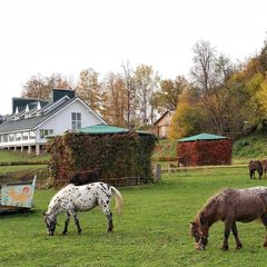 Мини-отель Костин двор, Москва, Московская область