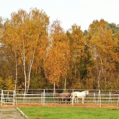 Мини-отель Костин двор, Москва, Московская область