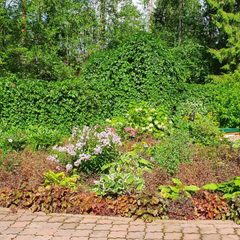 База отдыха WISH HOTEL Seliger, Осташков, Тверская область