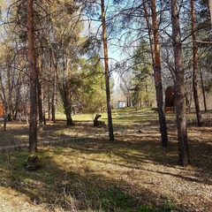 Турбаза Нептун, Волжский, Волгоградская область