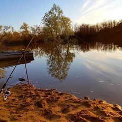 Турбаза Нептун, Волжский, Волгоградская область