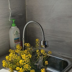 Гостевой дом в Карелии, Медвежьегорский район, Республика Карелия