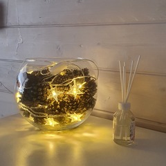 Гостевой дом в Карелии, Медвежьегорский район, Республика Карелия