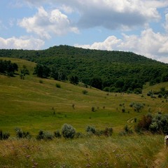 База отдыха Берег Солнца, Красноармейский район, Саратовская область