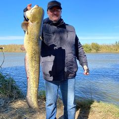 База отдыха Три товарища, Маково, Астраханская область