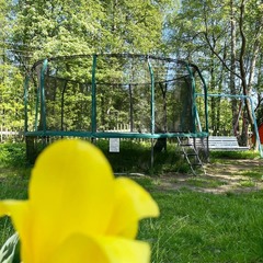 База отдыха Грузино 4, Сертолово, Ленинградская область, Ленинградская область