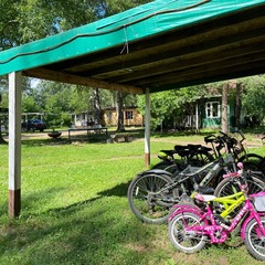 База отдыха Грузино 4, Сертолово, Ленинградская область, Ленинградская область