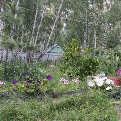 База отдыха Мечта, Челябинская область