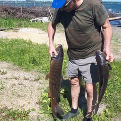 База отдыха Мечта, Челябинская область